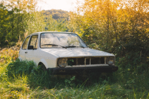 Old junk car taking up space in a sunlit backyard during summer.